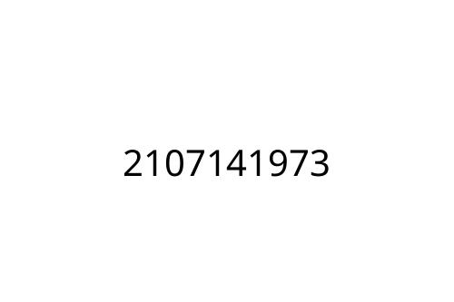 2107141973