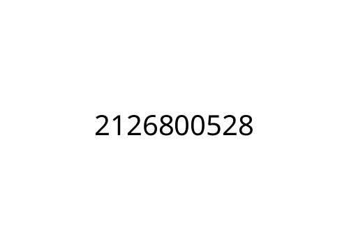 2126800528