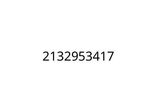 2132953417
