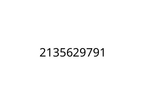 2135629791