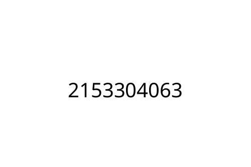 2153304063