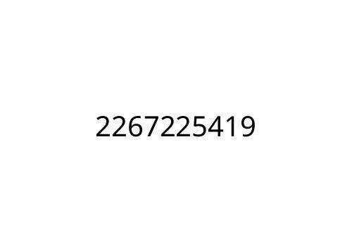 2267225419
