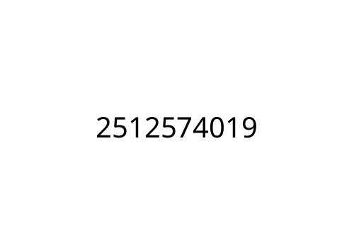 2512574019