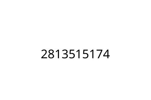 2813515174