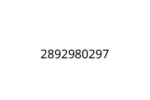 2892980297