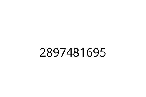 2897481695