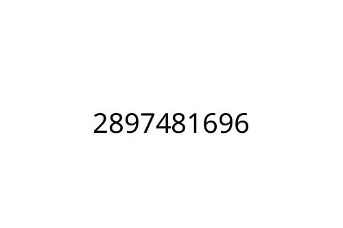 2897481696