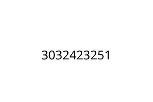 3032423251