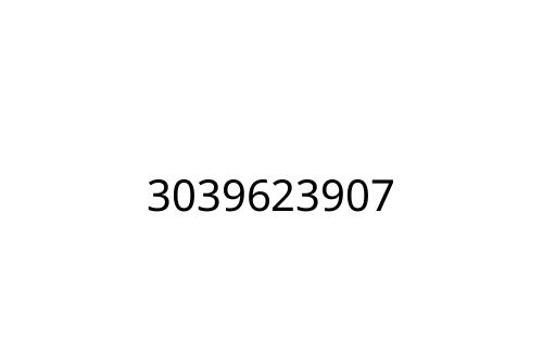 3039623907