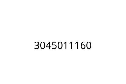 3045011160