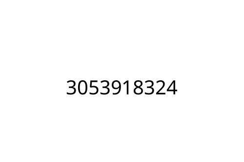 3053918324