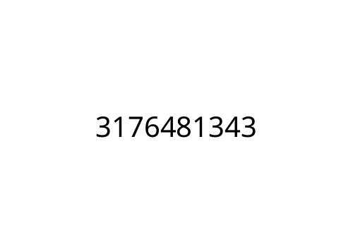 3176481343