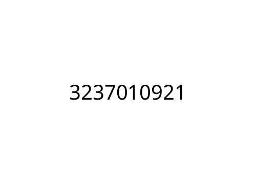 3237010921