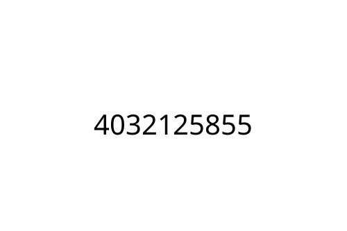 4032125855
