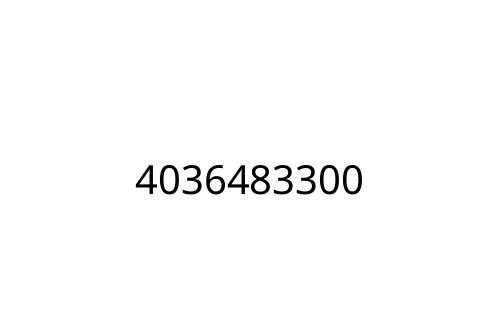 4036483300
