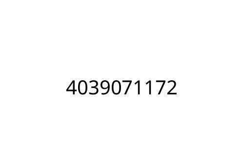 4039071172