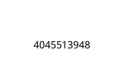 4045513948