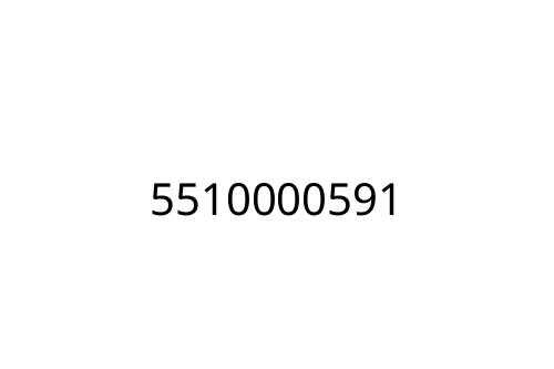 5510000591