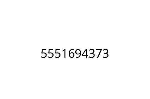 5551694373