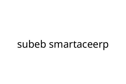 subeb smartaceerp