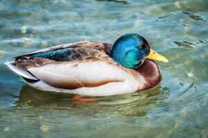 if my gas is shut off will i have hot water