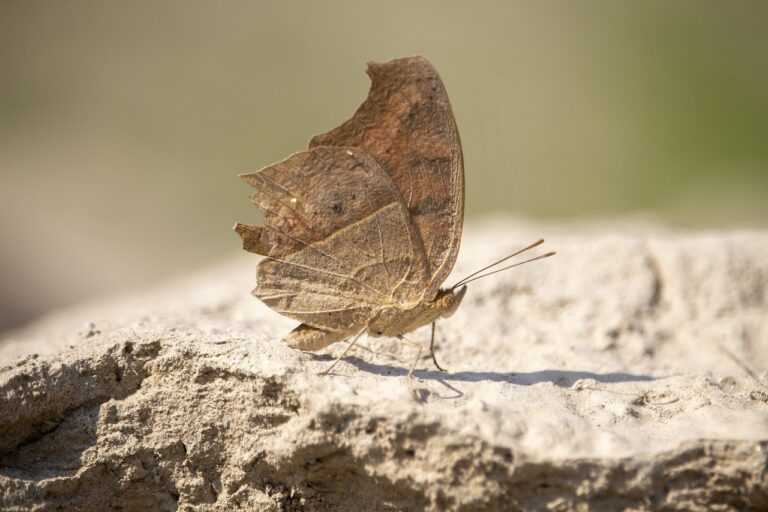 how to use a lamp lwtc148