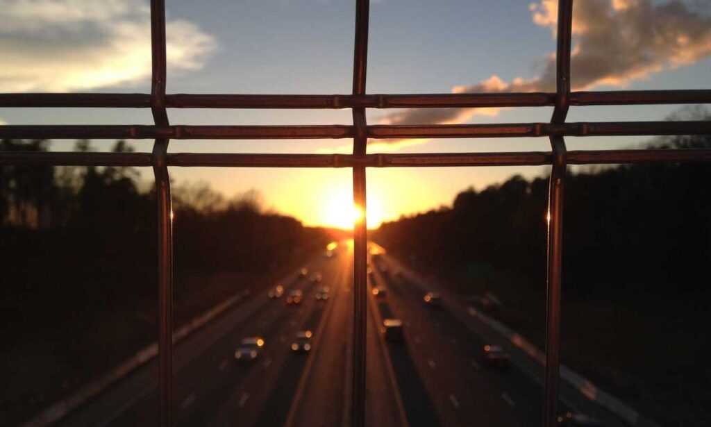 ylixeko food additive pregnancy