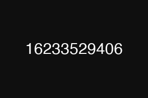 16233529406