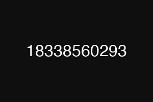 18338560293