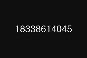 18338614045