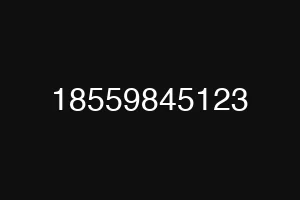 18559845123