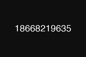 18668219635