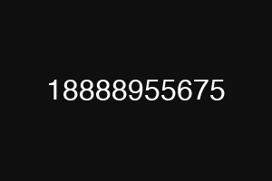 18888955675