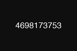 4698173753