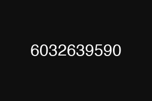 6032639590