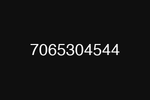 7065304544