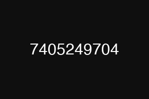 7405249704