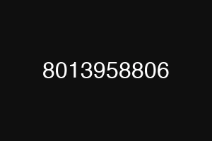 8013958806