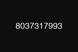 8037317993