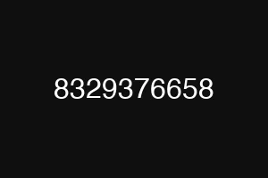 8329376658