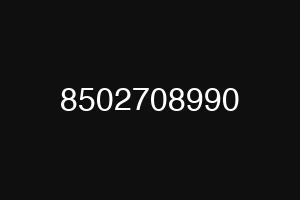 8502708990