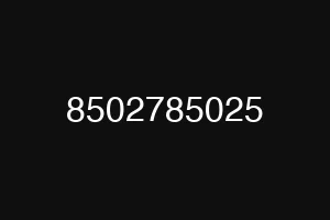 8502785025