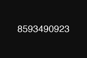 8593490923