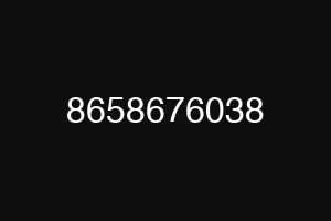 8658676038