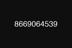 8669064539