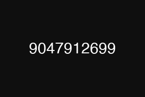 9047912699