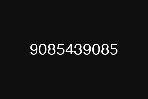 9085439085