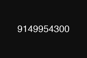 9149954300
