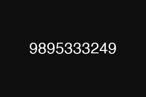 9895333249