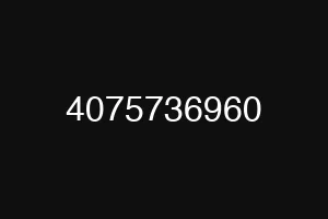 4075736960
